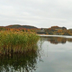 jezioro kłodno jesień