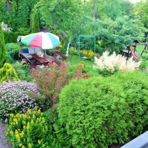 29 czerwca 2015r. Kolorowy ogrod. 