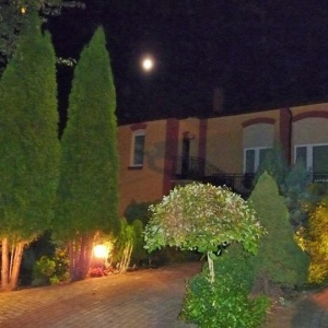 Wieczorna aranżacja ogrodu i rozświetlony księżyc. 