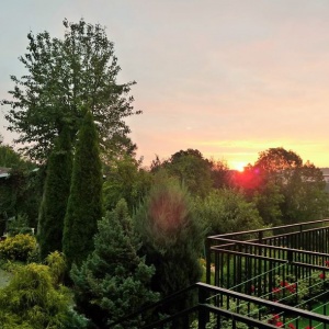 24.09.2015r. wschód słońca w Chmielnie na tle ogrodu 