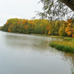 Obrazek -   Jezioro Białe otulone kolorowym drzewostanem 