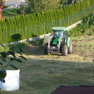 Praca rolnika  przy  sianie. 