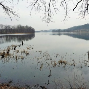 Piękny pejzaż jeziora Rekowo. Roślinność odbija się w nim jak w lustrze. 