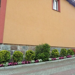 Rabata kwiatowa wzdłuż ściany domu. Okno z apartamentu szarego. 