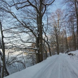 Zima-droga do lasu nad j.Rekowo. 