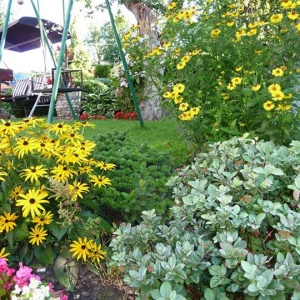kolorowa część wypoczynkowa ogrodu. 
