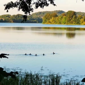 Jezioro Rekowo w  bardzo cieple niedzielne popołudnie. 