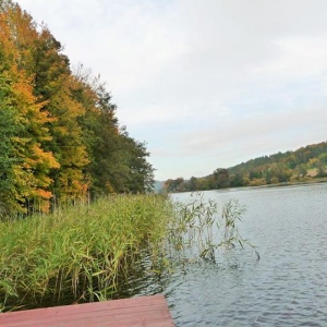 Nad jeziorem Rekowo - widok na las z naszego pomostu.
Przyroda żyje nieustannie. 
