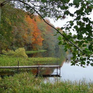 piękny obrazek - jesień nad jeziorem Rekowo. 