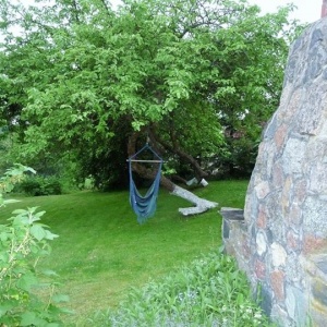 hamak siedzisko w sadzie 
