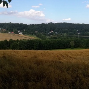 Widok na jezioro Brodno Małe, wieś Zawory, pola dojrzałego  owsa... 