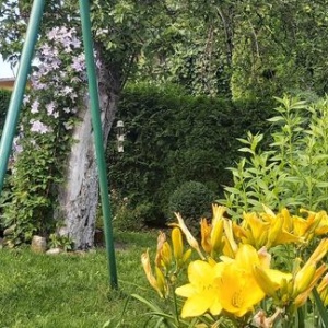 Ogród z kwitnącym kwieciem, huśtawka,  stół biesiadny, bujana ławka. 