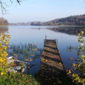 Niedziela 5 listopada -pomost nad jeziorem Rekowo 
