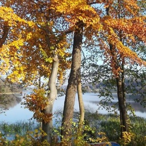 Piękna jesień listopadowa! w Chmielnie nad jeziorem Rekowo! 