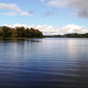 Piękna natura jeziora Rekowo 