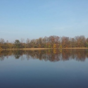 listopadowa przyroda nad jeziorem Rekowo 