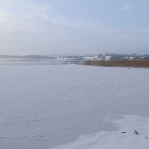 Ptactwo na wodzie tworzy czarny sznur.
Jezioro Kłodno i wieś Chmielno. Styczeń 2018rok 
