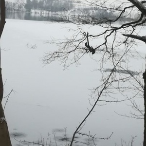 Chmielno zimą. Nie całe jezioro Białe skute lodem! 