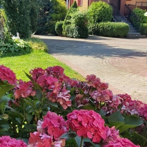 Sierpniowej obrazek posesji Domu pod Gruszą w Chmielnie 