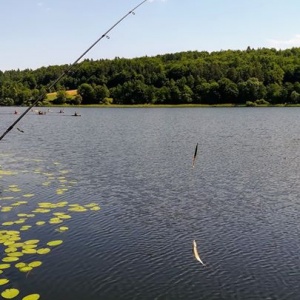 Jezioro Rekowo, Wędkowanie - Taka Ryba !!!, 