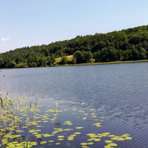 Nad jeziorem Rekowo, kajakiem można popływać! 