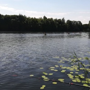 kajakarze na jeziorze Rekowo dopływają do brzegu i przeprawią się nad jezioro Kłodno. 