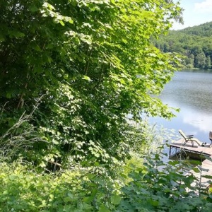 Widok z łączki nad jeziorem Rekowo na pomost, jezioro i las. 