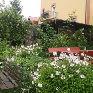 Ogrody w Domu Pod Gruszą. 