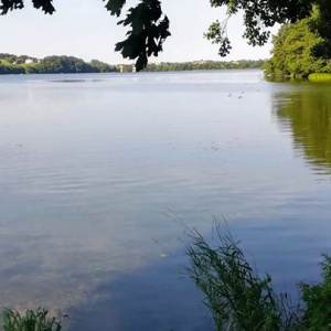 Widokówka z Chmielna - pejzaż nad jeziorem Białym. 