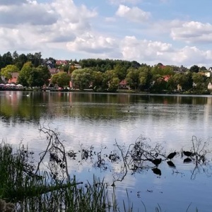 Przyroda nad jeziorem Białym w Chmielnie. 