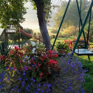 jesienny ogród, romantycznie, -mglisto, kolorowo,... 