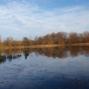 Poranek listopadowy nad jeziorem Rekowo w Chmielnie. 