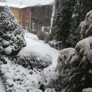 Sypnęło śniegiem 2 styczeń 2019r. 