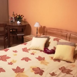 Apartament pomarańczowy z łazienką, internet, TV, drewniane meble, łoże 160-200, cieplutko i przyjemnie. 