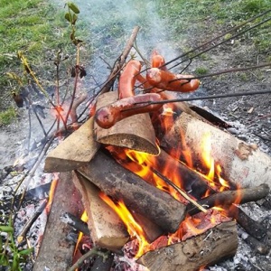 Pierwsze wiosenne ognisko  ze smażeniem kiełbasek. 