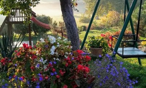 jesienny ogród, romantycznie, -mglisto, kolorowo,... 